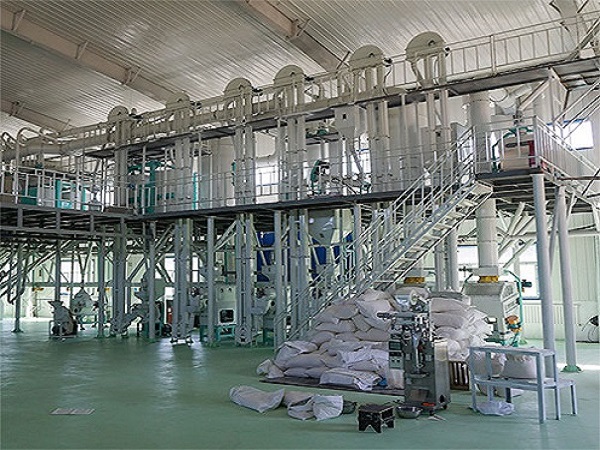 智能玉米深加工設備價(jià)格了解 行業(yè)與食品行業(yè)之間的關(guān)系如何?